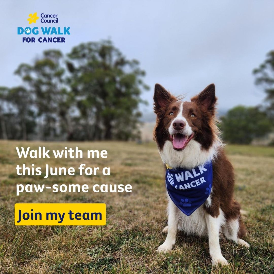 Dog Walk social tile 8